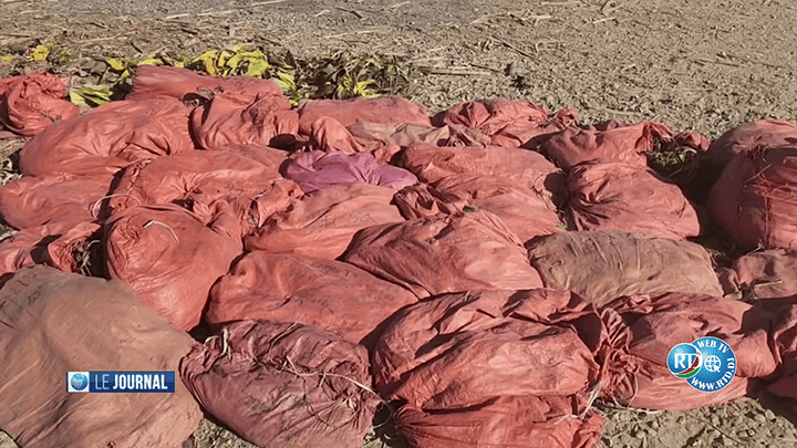 vlcsnap-2026-01-29-11h31m51s087